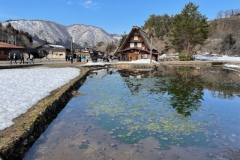 日比来県7