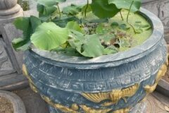 IMG_8881-rotated